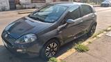 Fiat Punto 1.2 8V 5 porte Young EURO 6 - Fiat Punto YOUNG mit Benzin-Antrieb