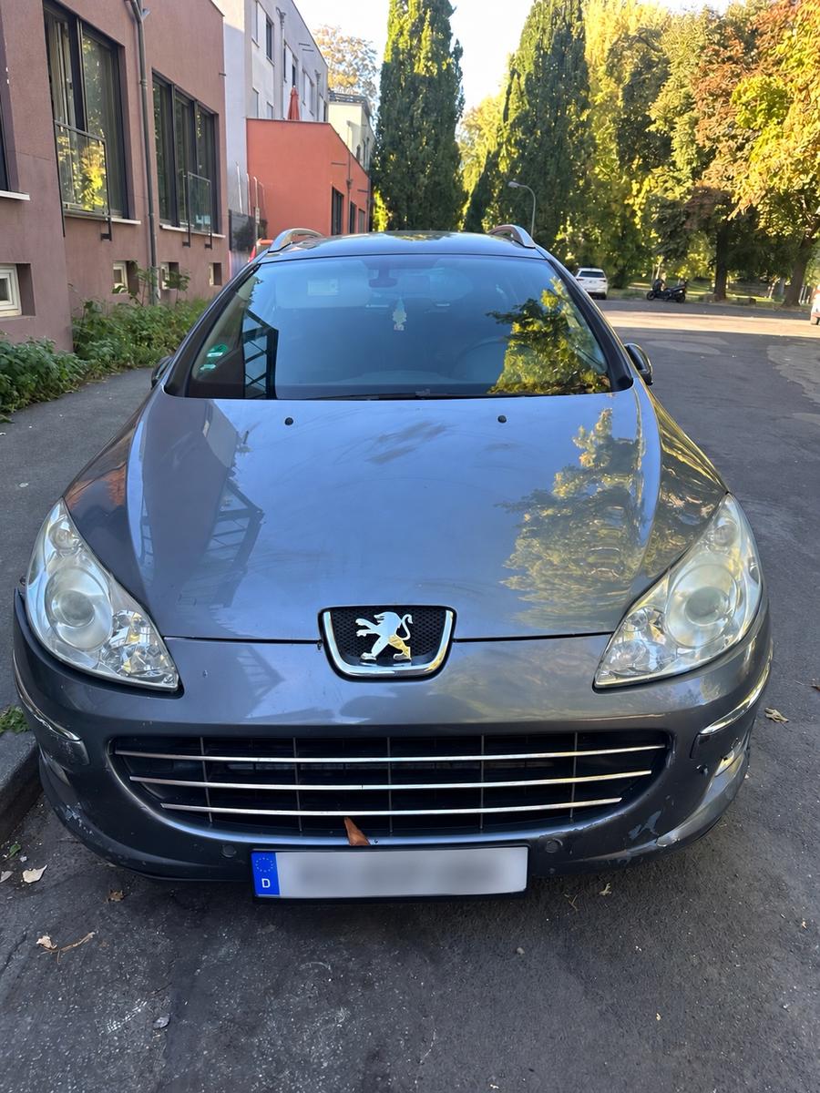 Peugeot 407 2009 — rear view