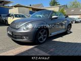 Volkswagen BEETLE Cabriolet Design BMT PDC / KLIMA AUTOM. - Volkswagen Beetle in Bonn