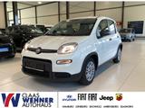 Fiat Panda Base *Bluetooth *Klimaanlage - Fiat Panda Gebrauchtwagen in Hamburg