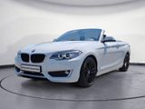 BMW 220i Cabrio Advantage Aut. Navi Business HiFi Si - BMW 220: I