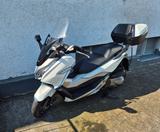 Honda Forza 300 - HONDA FORZA 300