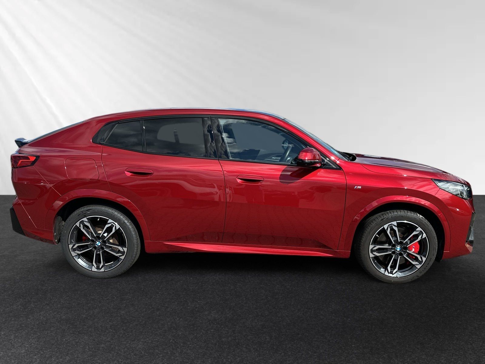 BMW X2 sDrive20d M Sport Pro Pano Head-Up 19 LMR foto 2