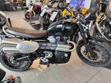 Triumph Scrambler "1200" X, sofort verfügbar - TRIUMPH SCRAMBLER 1200 X