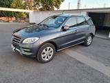 Mercedes-Benz ML 350 BlueTEC 4MATIC - - Mercedes-Benz ML 350 mit Diesel-Antrieb