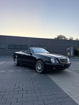Mercedes-Benz Mercedes Benz CLK Cabrio 200 Kompressor Av... - Mercedes-Benz CLK 200 in Bochum