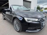 Audi A3 Cabriolet 2,0 TDI ambition-Xenon-Alcantara- - Audi A3: Cabrio, 2.0