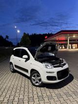 Fiat Panda (TWIN AIR TURBO) Vollausstattun... - Fiat Panda: Turbo