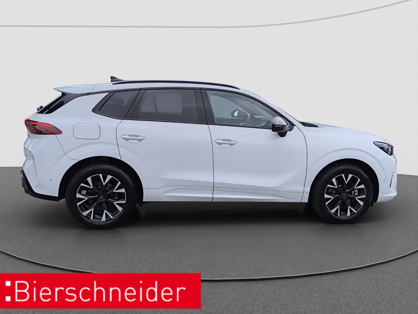 Cupra Terramar - Bild 9