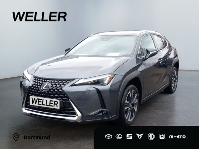 Lexus UX 250h Style Edition *LED*Kamera*18Zoll* Kurzzu