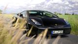 Lamborghini Gallardo Nera V10 5.0 lim. Edition - Lamborghini Gallardo Gebrauchtwagen