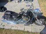 Suzuki Intruder C800 Sehr gepflegt,erst 8700Km - GEBRAUCHT INTRUDER 800