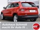 Skoda Karoq Style AUTOGAS - mit LPG-Antrieb: Auto