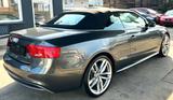 Audi A5 3.0 TDI 180kW S tr. quat. Cabriolet - - Audi A5 mit Diesel-Antrieb: 3.0