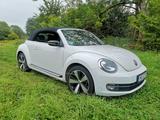 Volkswagen Beetle 2.0 TDI Exclusive Sport Cabriolet Exc... - Volkswagen Beetle: Exclusive Sport