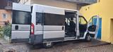 Fiat Ducato Panorama Luxusbus modular - Fiat Ducato: Luxusbus