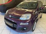 Fiat Panda Lounge Autom Panorama  Einparkhil Tempomat - Fiat Panda bis 15.000 Euro