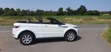 Land Rover Range Rover Evoque Cabrio TD4 SE Dyn. WIE NEU - Land Rover Range Rover Evoque: Cabrio