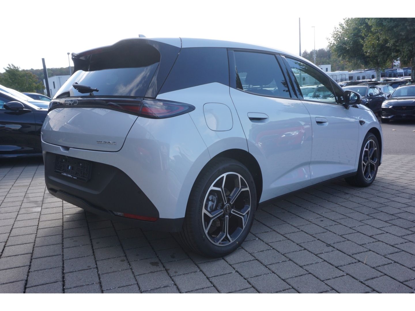 BYD DOLPHIN