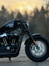Harley-Davidson Forty Eight 48 Sportster 1200 XL2 1. Hand  Penzl