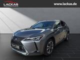 Lexus UX 250h STYLE*LED*ALLWETTER*GEPFLEGT*GARANTIE - Lexus UX: Automatik