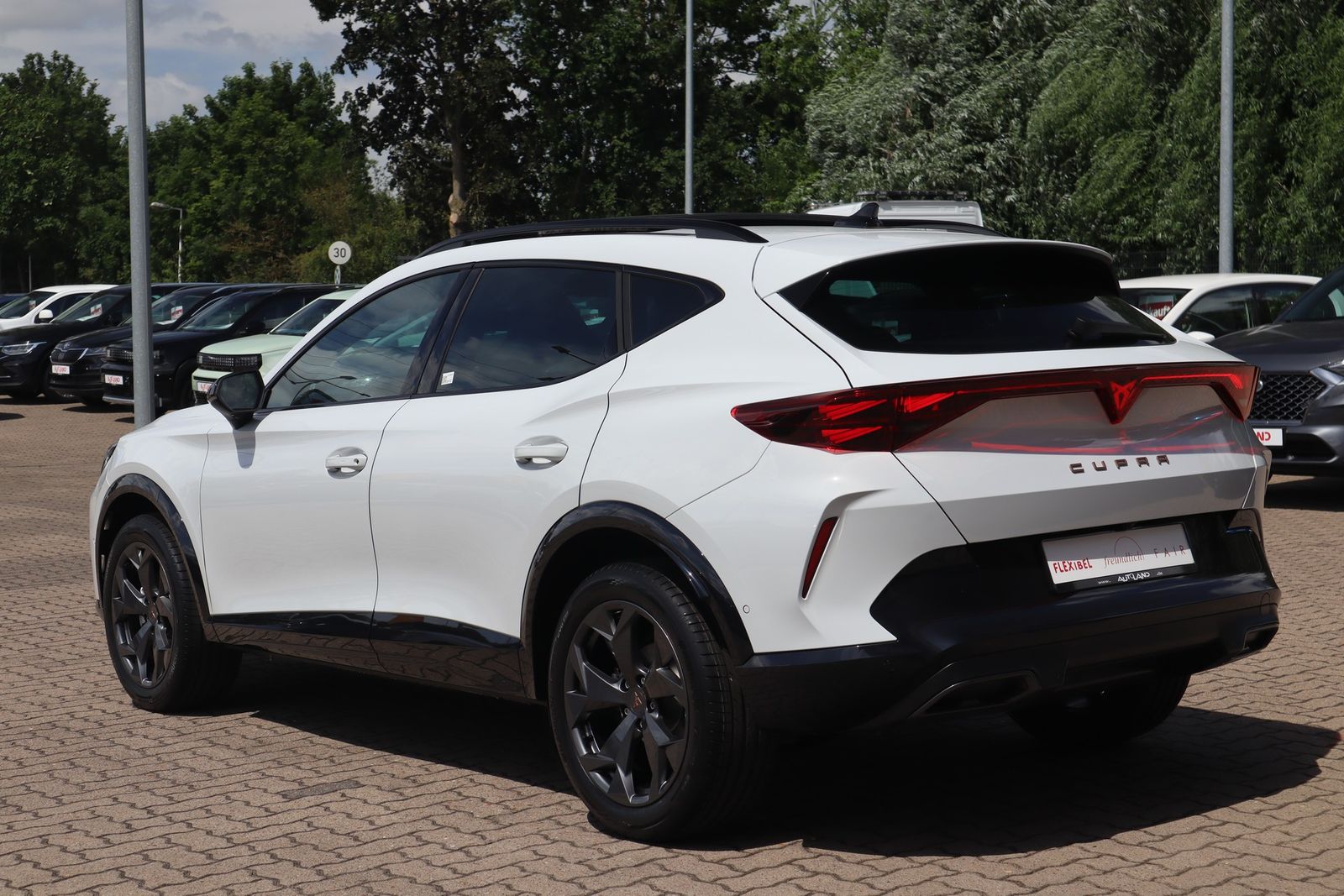 Cupra Formentor 1.5 eTSI DSG Matrix ACC Pano Navi imagem 3