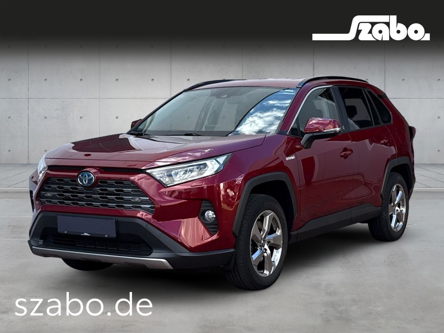 Toyota Toyota RAV 4 Deutschland - 2,5 l Hybrid 4x4 Team D