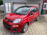 Fiat Panda Lounge Automatik 1.Hand Top Zustand - Fiat Panda: Rot