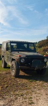 Mercedes-Benz 250 GD Wolf - Mercedes-Benz G 250: Wolf