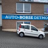 Fiat Panda 1.2 8V MyLive GARANTIE TÜV:27 Sonderpreis! - gebrauchte Fiat Panda aus dem Jahr 2011