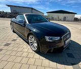 Audi RS5 4.2 FSI S tronic quattro Cabriolet - - Audi RS5: Roadster