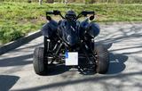 Triton Supermoto Black Lizard Edition 450 LOF  - TRITON QUAD