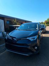 Toyota RAV4  Hybrid - Toyota RAV 4 in Duisburg
