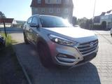 Hyundai TUCSON Premium 4x4 Automatik  Standheizung Sitzh - : Beige, Metallic