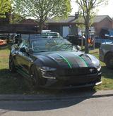 Ford Mustang Cabrio "Unikat" - Ford Mustang Gebrauchtwagen in Düsseldorf