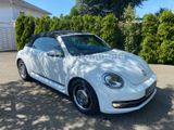 Volkswagen Beetle Cabriolet Cup Edition 2.0 TDI/DSG/Navi/ - Volkswagen Beetle in Dortmund