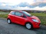 Ford Ka 1.2 - Klima ZV Radio CD - Ford Ka/Ka+ in Hagen