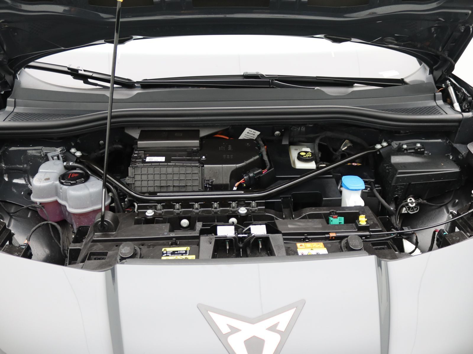 Cupra Tavascan - Bild 18