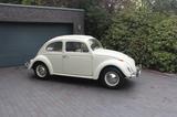 Volkswagen Käfer 1200 Export Faltdach 2. Hand 60tkm  - Volkswagen Käfer Oldtimer