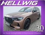 Mazda CX-80 2.5l PHEV AWD Homura Plus alle Pakete GSD  - Mazda CX-80 Plug-In Hybrid Gebrauchtwagen