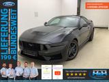 Ford Mustang 5.0 V8 Aut Dark Horse MagneRide+ACC+LED - Ford Mustang Dark-Horse