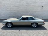Jaguar XJS 5,3 V12 Coupe im Traumzustand - Jaguar XJS: Coupe, V12