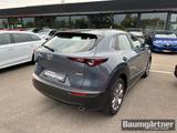 Mazda CX-30 e-Skyactiv-G 2.0 Automatik Kamera/ACC/PDC - graue Mazda CX-30