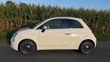 Fiat 500 - BEATS - LEDER - TOPGEPFLEGT - Fiat 500: Leder