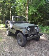 Jeep Wiilys M38A1 - komplett überholt - Jeep: M38a1