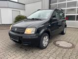 Fiat Panda 1.2 8V Dynamic - Fiat aus 2007