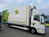 MAN TGL 12.250 /Abbiegeas./ Thermok. / Kamera  / Top - MAN Tgl 12 250