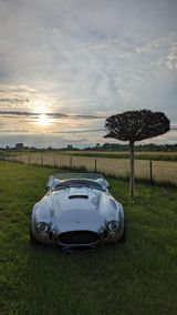 Cobra Repl. VHD-Viper Ford V8 (Cooke), H-Kennz. - Cobra: Roadster