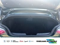BMW Z4 - Vorschau Bild 7