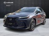 Lexus NX Hybrid Luxury 4WD - Lexus aus 2024: Nx
